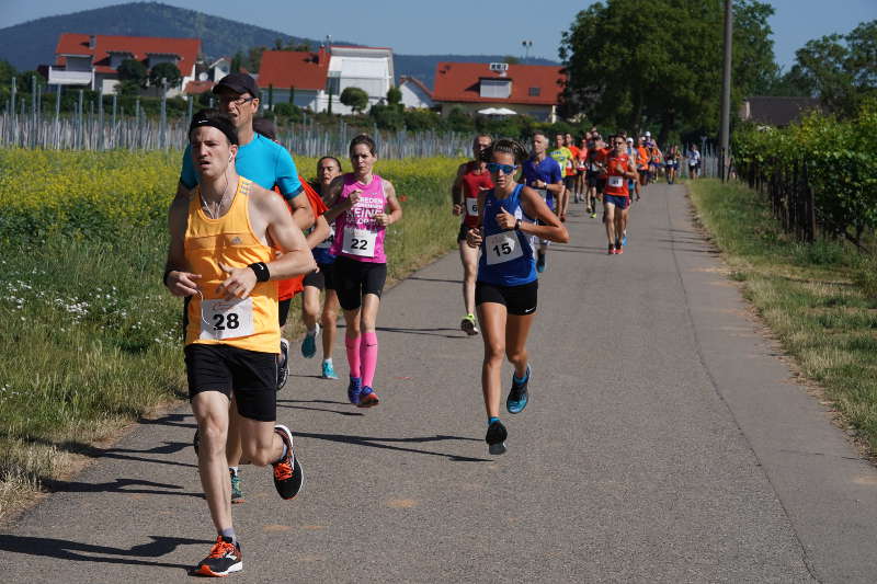 Landau Energie-Südwest-Cup 2019 Nußdorf (Foto: Holger Knecht)