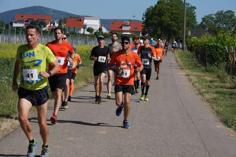 Landau Energie-Südwest-Cup 2019 Nußdorf (Foto: Reinhard Schnell)
