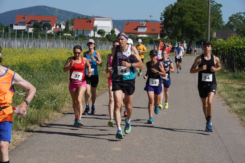 Landau Energie-Südwest-Cup 2019 Nußdorf (Foto: Holger Knecht)