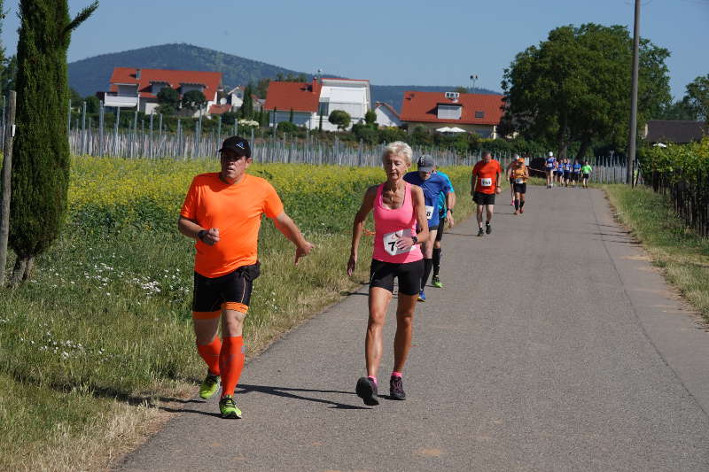 Landau Energie-Südwest-Cup 2019 Nußdorf (Foto: Holger Knecht)