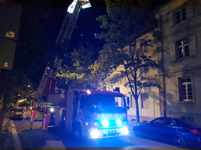 Die Katze wurde von der Feuerwehr gerettet (Foto: Feuerwehr Neustadt)