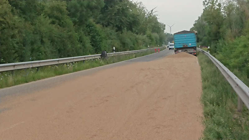 Weizen auf der L529 (Foto: Polizei RLP)