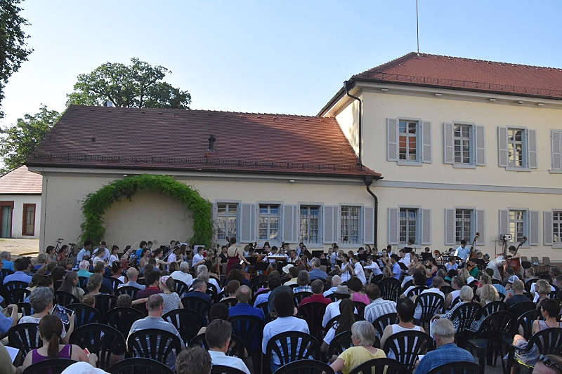 Neckarhausen Schloss JSOM (Foto: LT)