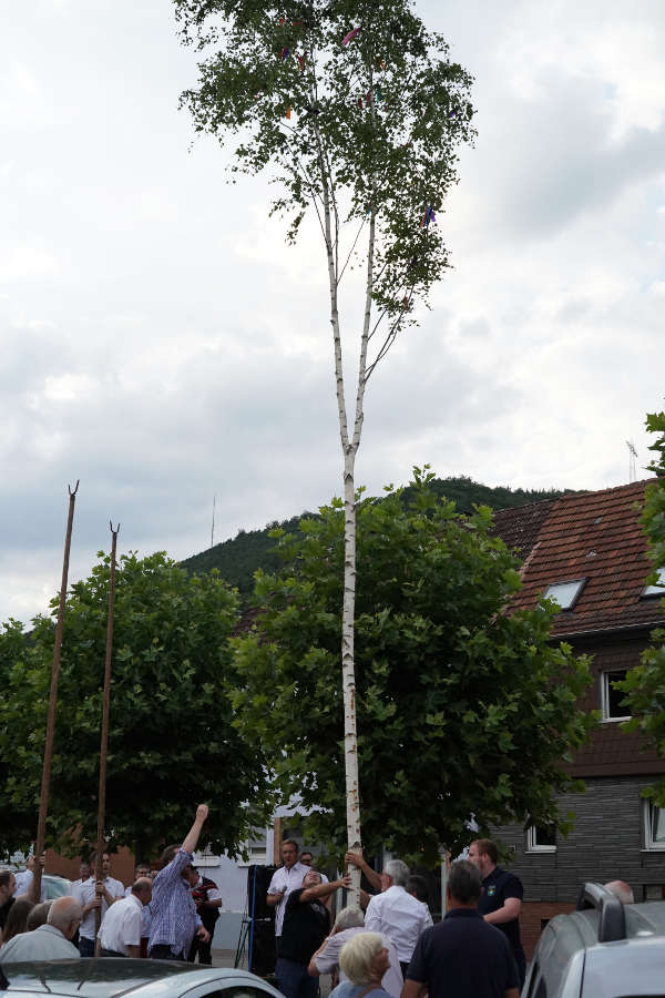 Lambrecht Gäsbock-Kerwe 2019 (Foto: Holger Knecht)