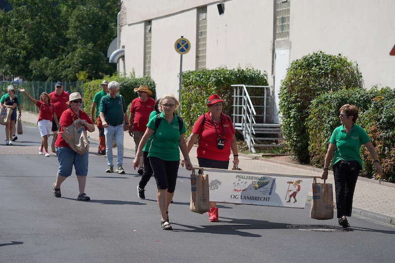 Lambrecht Kerweumzug 2019 (Foto: Holger Knecht)