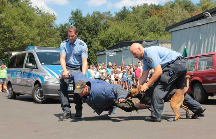 Polizeioldtimer-Museum Sommerfest_Hundestaffel 2018