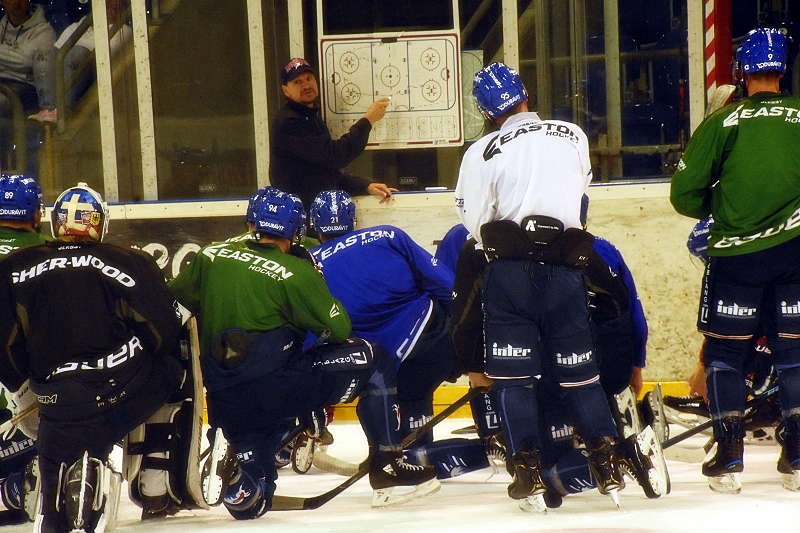 Mannheim Adler Trainingsauftakt (Foto: LT)