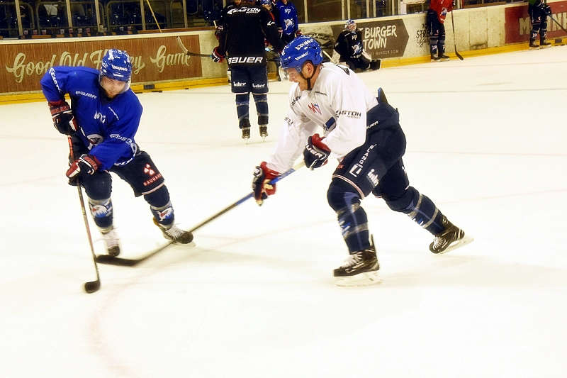 Mannheim Adler Trainingsauftakt (Foto: LT)