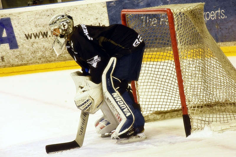 Mannheim Adler Trainingsauftakt (Foto: LT)