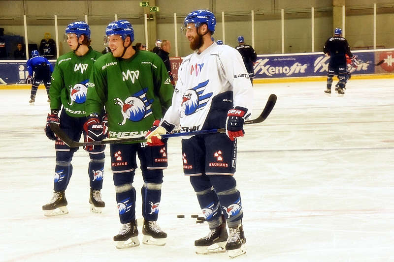 Mannheim Adler Trainingsauftakt (Foto: LT)