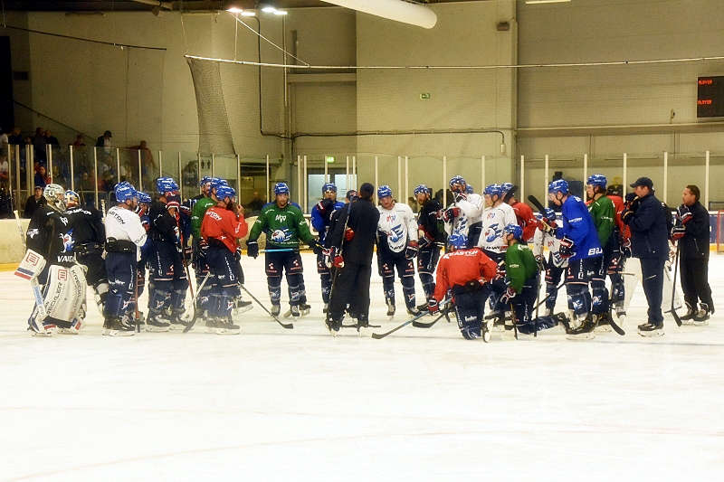 Mannheim Adler Trainingsauftakt (Foto: LT)