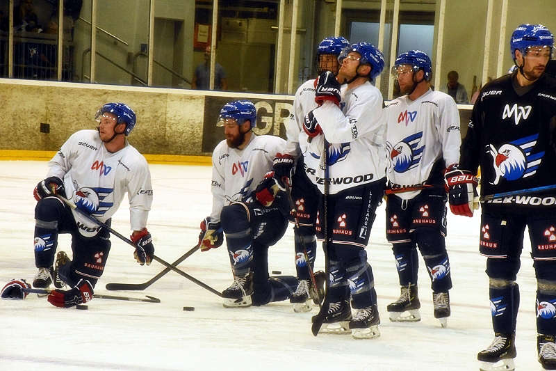 Mannheim Adler Trainingsauftakt (Foto: LT)