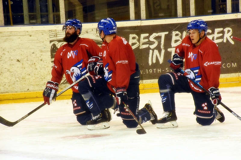 Mannheim Adler Trainingsauftakt (Foto: LT)