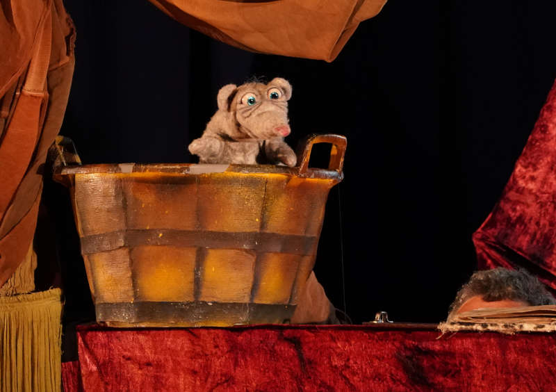 Neustadt Lesesommer Abschlussparty 2019 (Foto: Reinhard Schnell)