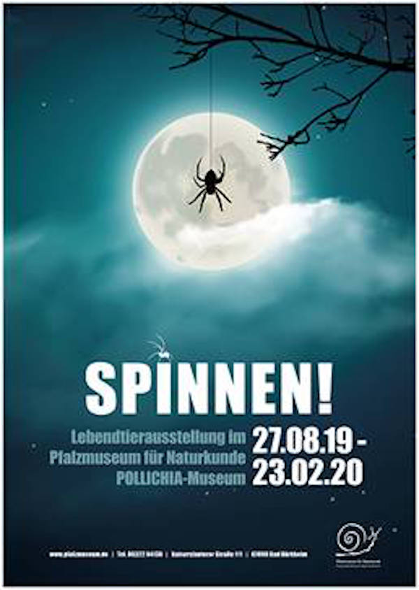 Ausstellungsplakat "Spinnen"