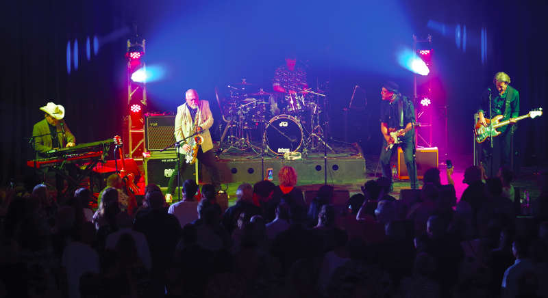 The black sorrows (Foto: PR)