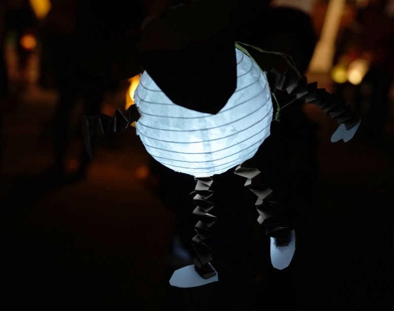 Lambrecht Martinsfest 2019 (Foto: Reinhard Schnell)