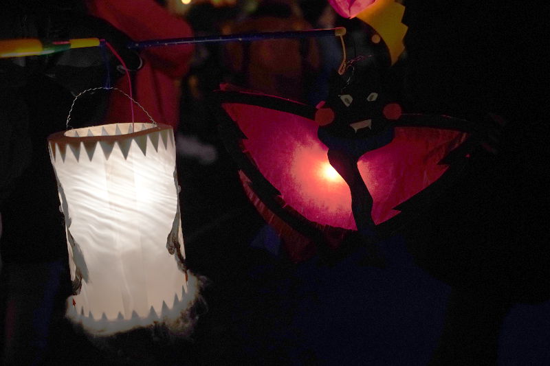 Lambrecht Martinsfest 2019 (Foto: Reinhard Schnell)