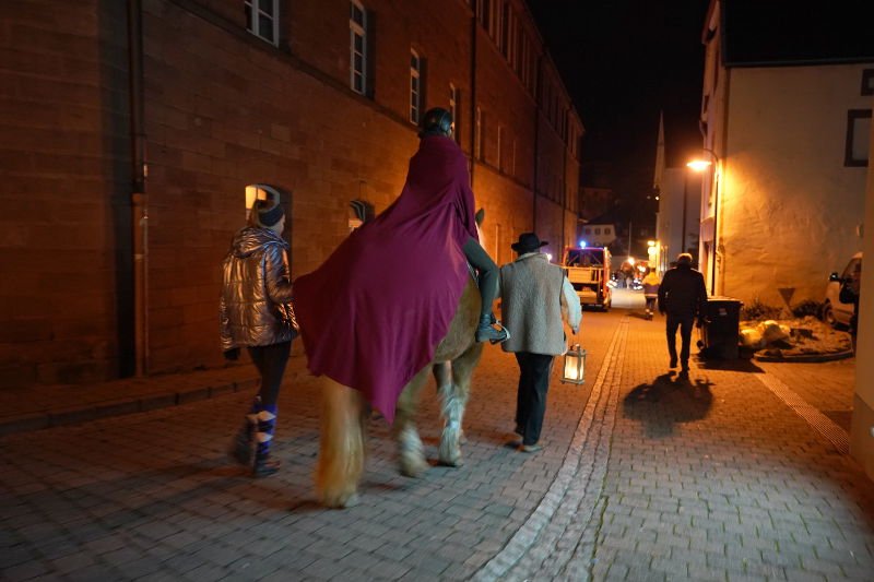 Lambrecht Martinsfest 2019 (Foto: Holger Knecht)