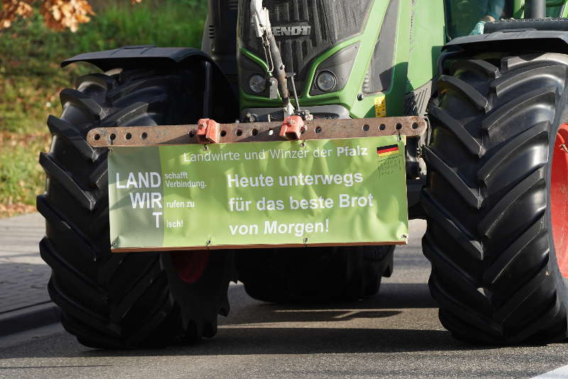 Neustadt Traktor Demo 2019 (Foto: Reinhard Schnell)