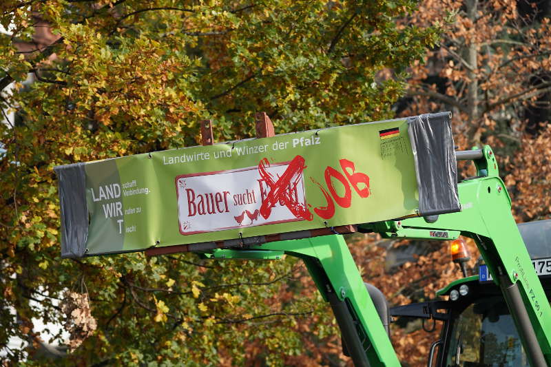 Neustadt Traktor Demo 2019 (Foto: Reinhard Schnell)