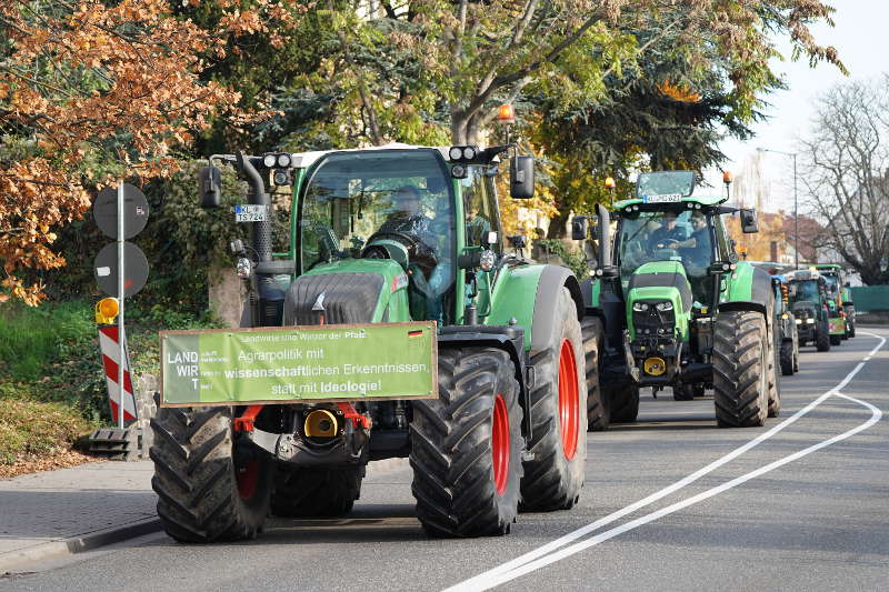 Neustadt Traktor Demo 2019 (Foto: Reinhard Schnell)