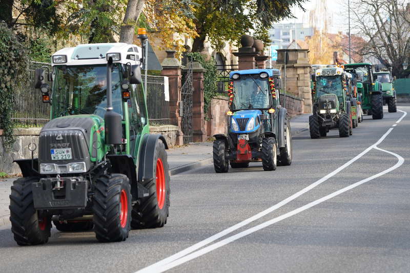 Neustadt Traktor Demo 2019 (Foto: Reinhard Schnell)