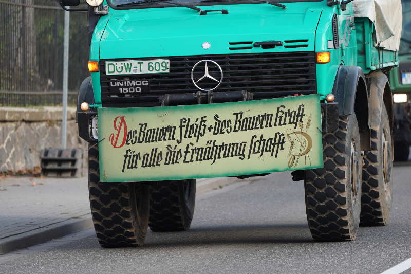 Neustadt Traktor Demo 2019 (Foto: Reinhard Schnell)