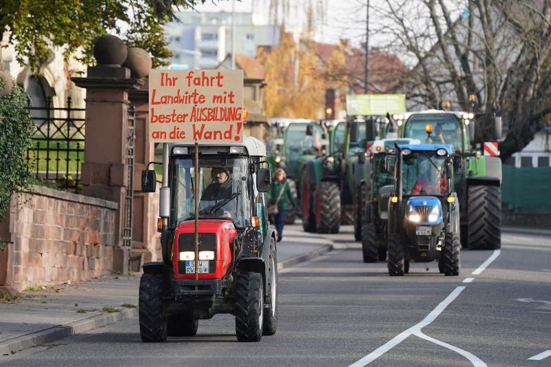 Neustadt Traktor Demo 2019 (Foto: Reinhard Schnell)
