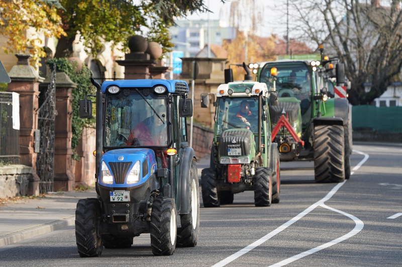 Neustadt Traktor Demo 2019 (Foto: Reinhard Schnell)