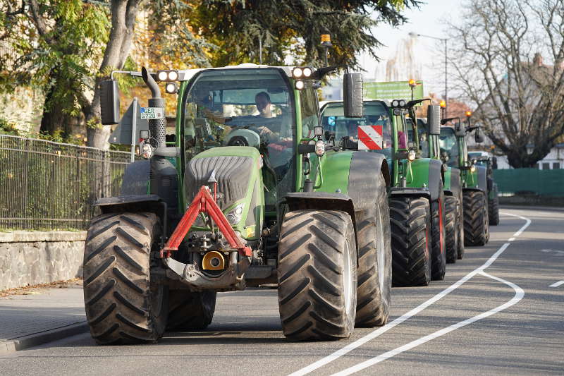 Neustadt Traktor Demo 2019 (Foto: Reinhard Schnell)
