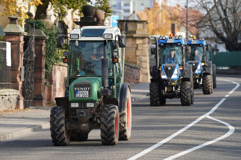 Neustadt Traktor Demo 2019 (Foto: Reinhard Schnell)