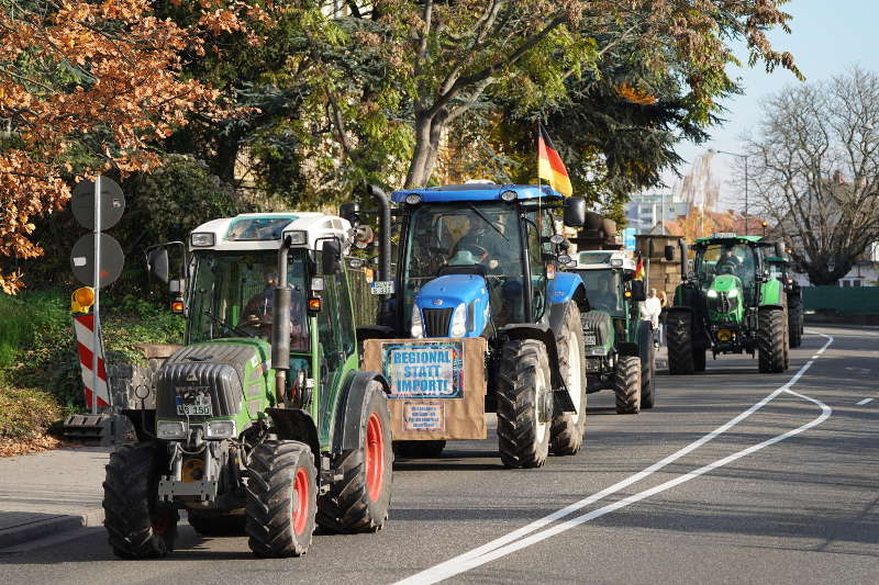Neustadt Traktor Demo 2019 (Foto: Reinhard Schnell)