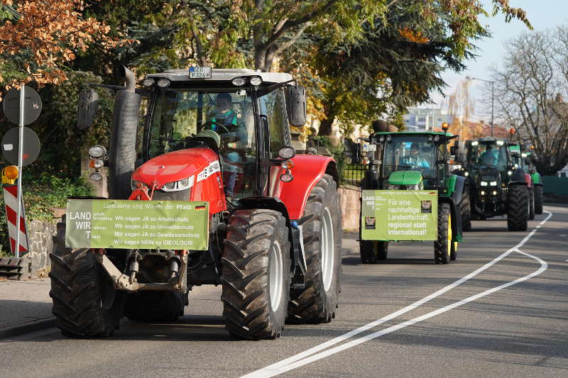 Neustadt Traktor Demo 2019 (Foto: Reinhard Schnell)