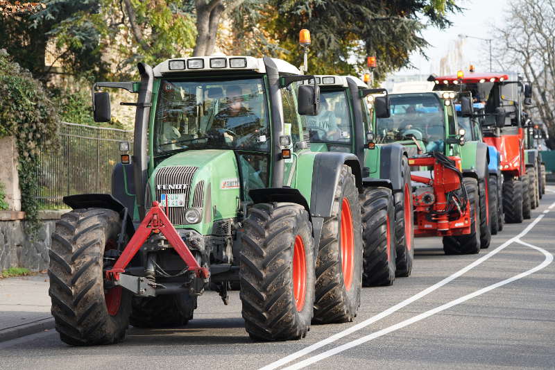 Neustadt Traktor Demo 2019 (Foto: Reinhard Schnell)