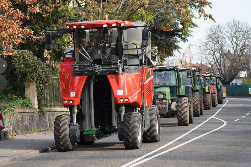 Neustadt Traktor Demo 2019 (Foto: Reinhard Schnell)