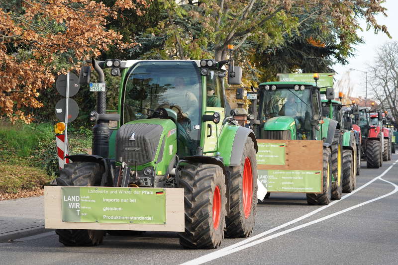 Neustadt Traktor Demo 2019 (Foto: Reinhard Schnell)