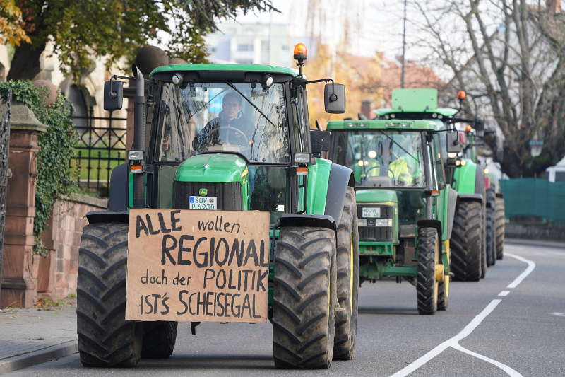 Neustadt Traktor Demo 2019 (Foto: Reinhard Schnell)