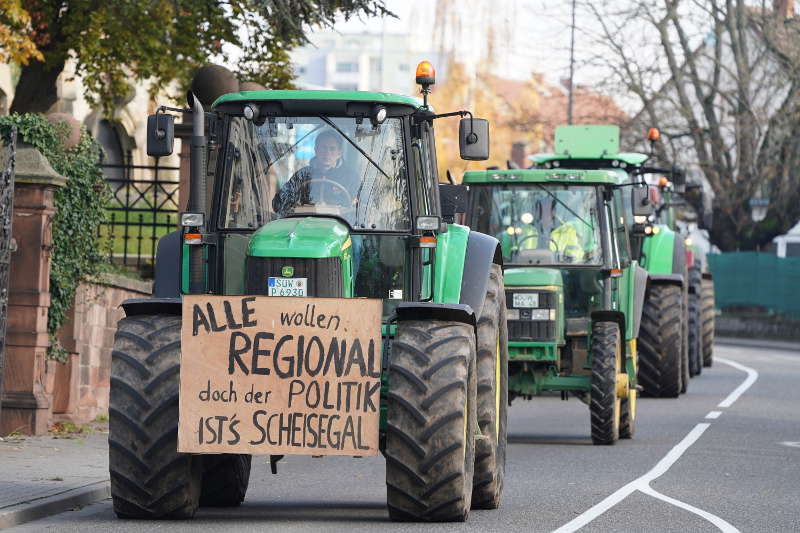 Neustadt Traktor Demo 2019 (Foto: Holger Knecht)