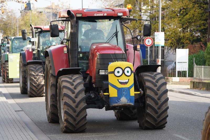 Neustadt Traktor Demo 2019 (Foto: Reinhard Schnell)