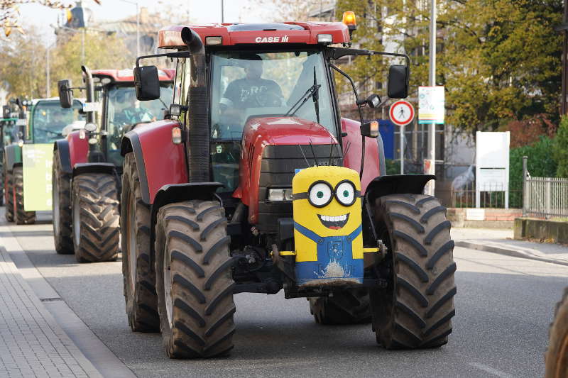 Neustadt Traktor Demo 2019 (Foto: Holger Knecht)