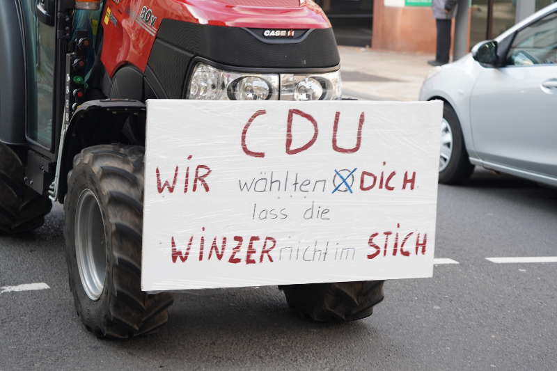 Neustadt Traktor Demo 2019 (Foto: Reinhard Schnell)