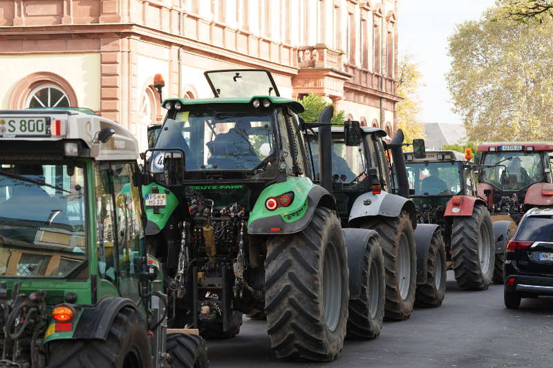 Neustadt Traktor Demo 2019 (Foto: Reinhard Schnell)