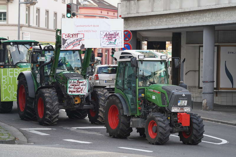 Neustadt Traktor Demo 2019 (Foto: Holger Knecht)