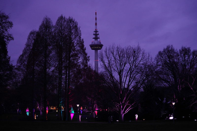 Mannheim Luisenpark Winterlichter 2020 (Foto: Holger Knecht)