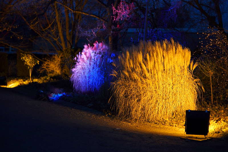 Mannheim Luisenpark Winterlichter 2020 (Foto: Holger Knecht)