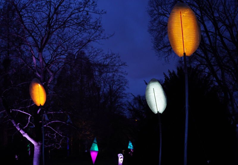 Mannheim Luisenpark Winterlichter 2020 (Foto: Holger Knecht)