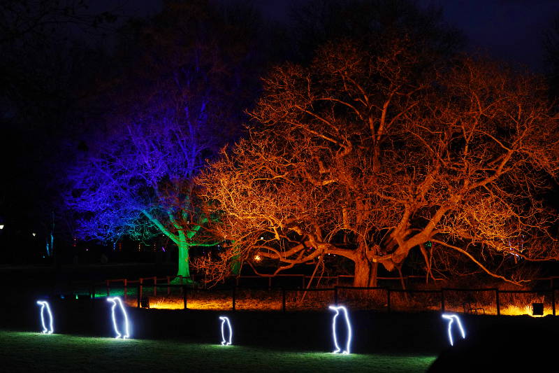 Mannheim Luisenpark Winterlichter 2020 (Foto: Holger Knecht)