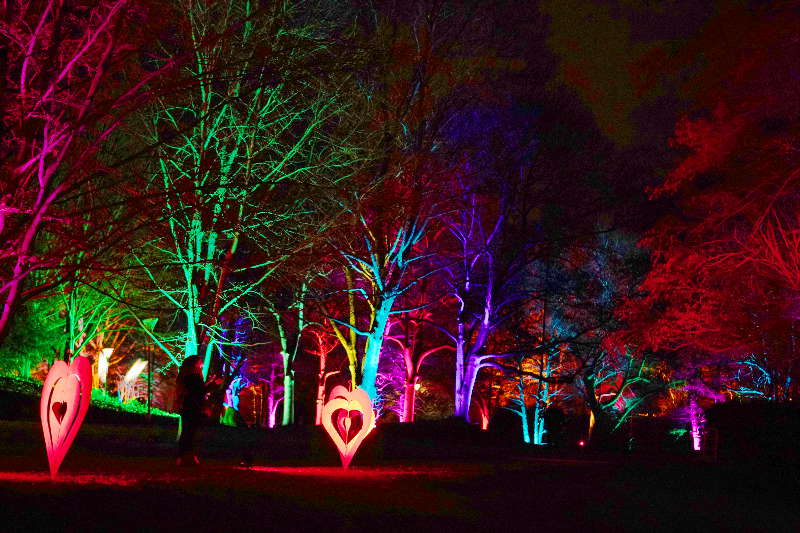 Mannheim Luisenpark Winterlichter 2020 (Foto: Holger Knecht)