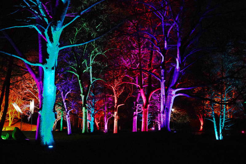 Mannheim Luisenpark Winterlichter 2020 (Foto: Holger Knecht)